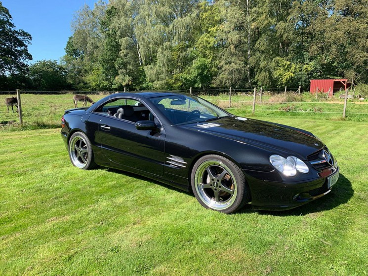SL_poler_1_1.jpg